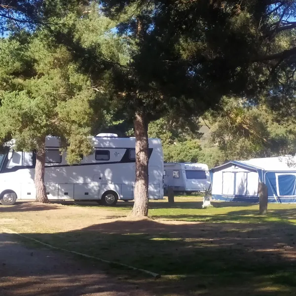 camping-los-bonales-cantalojas-idzl6
