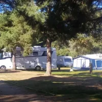 camping-los-bonales-cantalojas-idzl6