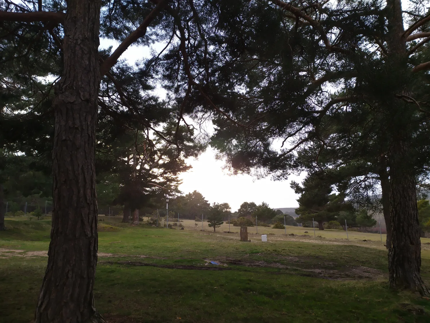 camping-los-bonales-cantalojas-qianh
