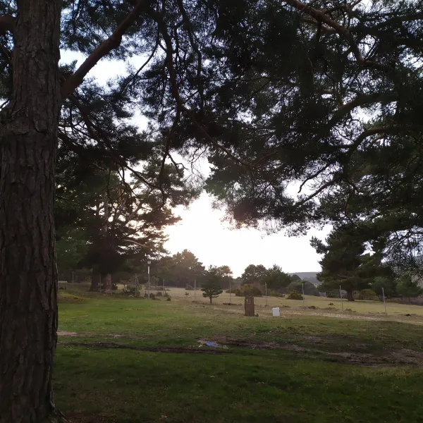 camping-los-bonales-cantalojas-qianh