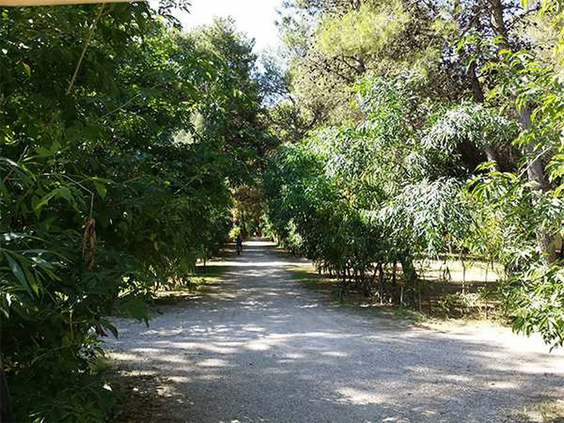 campeggio-sentinella-torre-dell-orsomelendugno-vkh4y