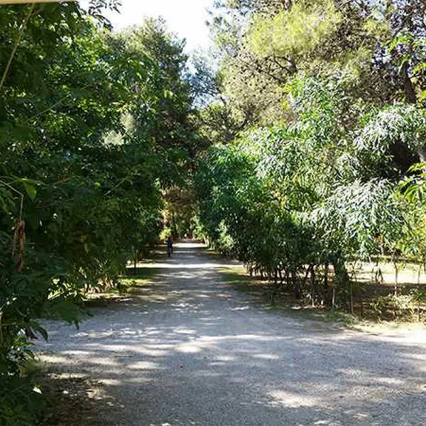 campeggio-sentinella-torre-dell-orsomelendugno-vkh4y