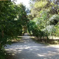 campeggio-sentinella-torre-dell-orsomelendugno-vkh4y