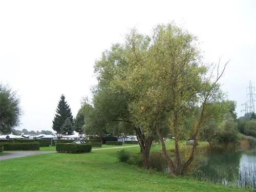 camping-du-staedly-roeschwoog-quwbb