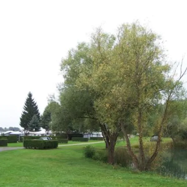 camping-du-staedly-roeschwoog-quwbb