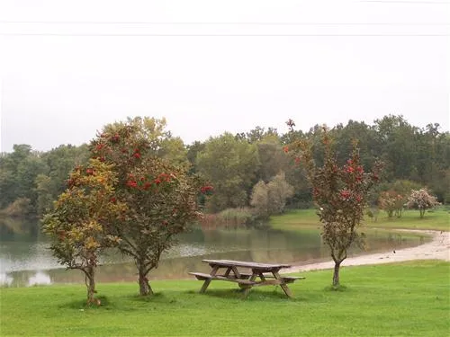 camping-du-staedly-roeschwoog-xbnfc