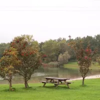 camping-du-staedly-roeschwoog-xbnfc