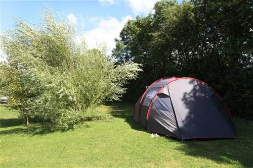 flower-camping-les-vertes-feuilles-quendplagelespins-3hyrt