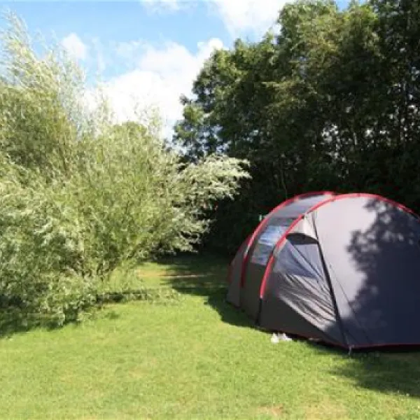 flower-camping-les-vertes-feuilles-quendplagelespins-3hyrt