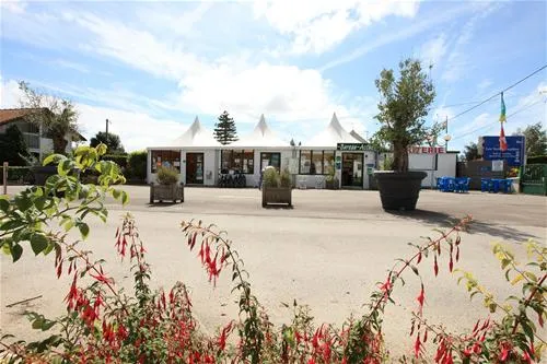 flower-camping-les-vertes-feuilles-quendplagelespins-48xxo