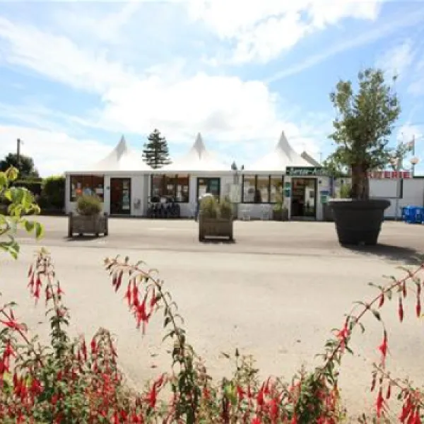flower-camping-les-vertes-feuilles-quendplagelespins-48xxo