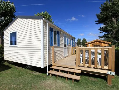 flower-camping-les-vertes-feuilles-quendplagelespins-idbxu