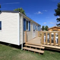 flower-camping-les-vertes-feuilles-quendplagelespins-idbxu