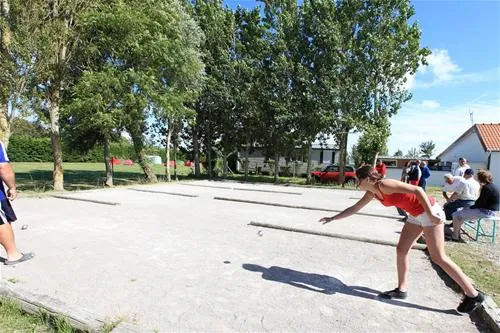 flower-camping-les-vertes-feuilles-quendplagelespins-taqtf