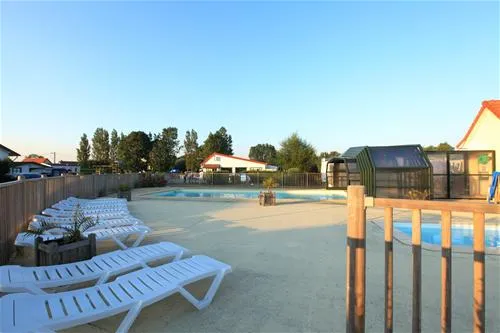 flower-camping-les-vertes-feuilles-quendplagelespins-ywt29