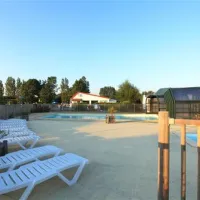 flower-camping-les-vertes-feuilles-quendplagelespins-ywt29