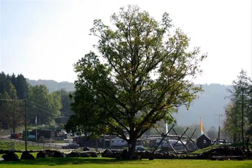 campingplatz-irsental-irrhausen-mri3i