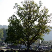 campingplatz-irsental-irrhausen-xpula