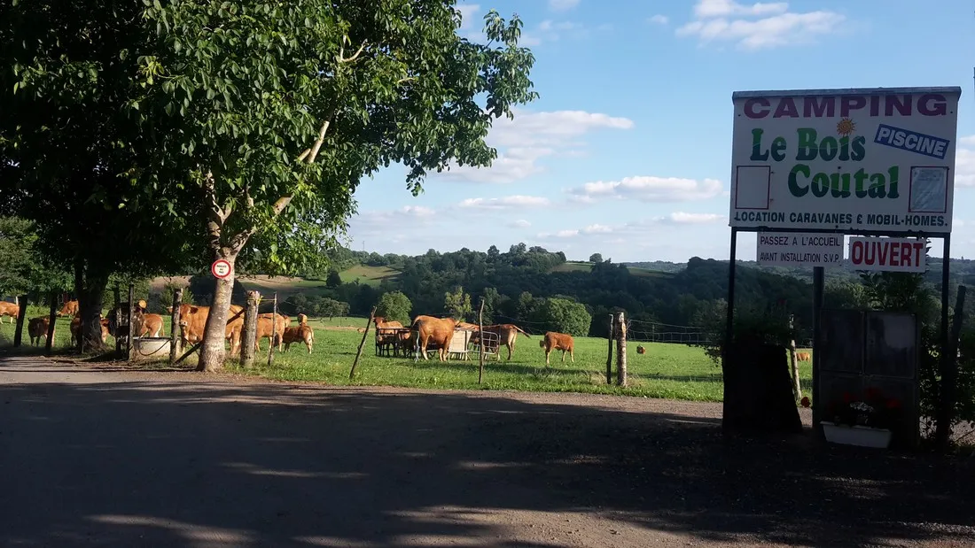 camping-aire-naturelle-du-bois-coutal-vigeois-qhjto