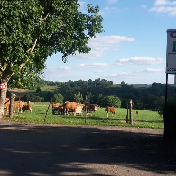 camping-aire-naturelle-du-bois-coutal-vigeois-qhjto