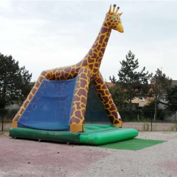 flower-camping-le-haut-dick-carentan-2ofuz
