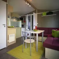 flower-camping-le-haut-dick-carentan-bjv0y