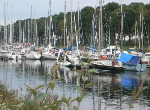 flower-camping-le-haut-dick-carentan-veupa