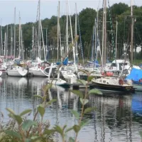 flower-camping-le-haut-dick-carentan-veupa