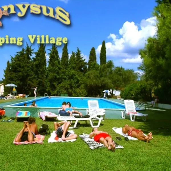 campsite-dionysus-dassia-crpo4