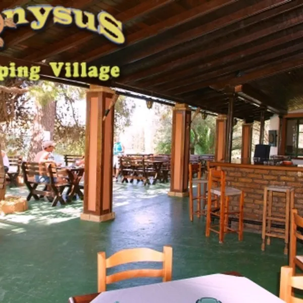 campsite-dionysus-dassia-iol07