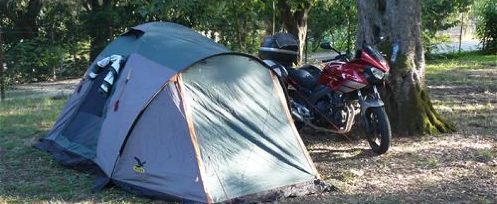 Campsite Dionysus