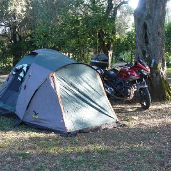 campsite-dionysus-dassia-nwodn