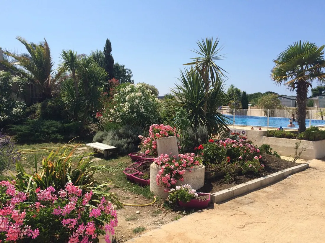 camping-le-phare-ouest-st-denis-d-oleron-ut1sh