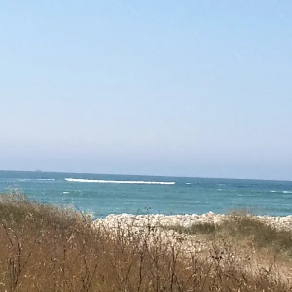 camping-le-phare-ouest-st-denis-d-oleron-wdiwt
