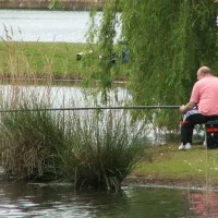 willow-holt-c-c-tattershall-jgvgk