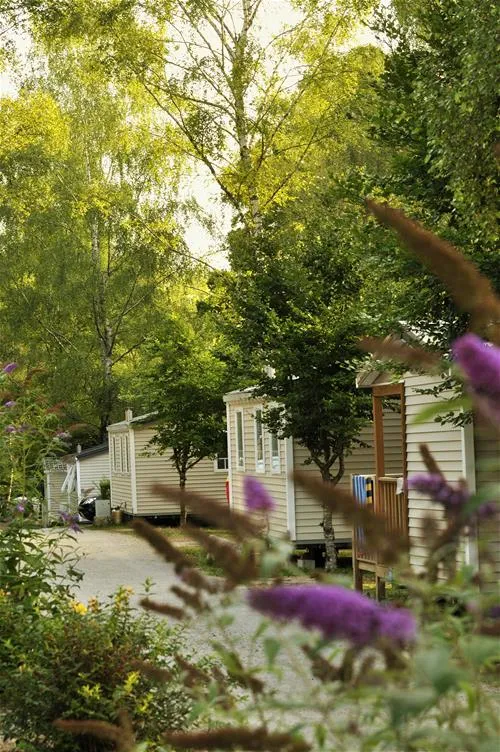 flower-camping-la-plage-treignacsurvzre-vinkr