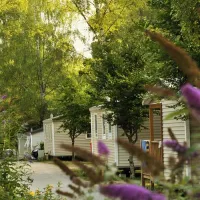 flower-camping-la-plage-treignacsurvzre-vinkr