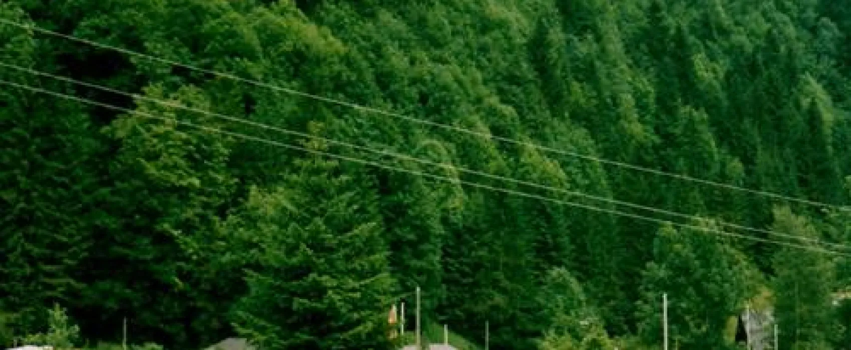 Camping Forellenhof