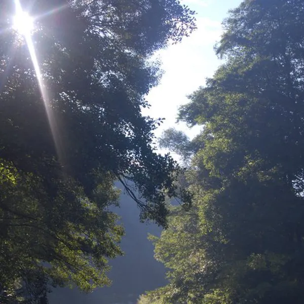 camping-le-vedeur-durbuy-jnd1h