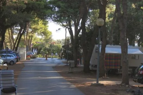 camping-kozarica-pakostane-grqph