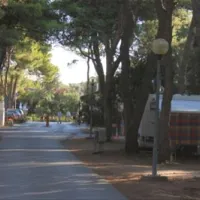 camping-kozarica-pakostane-grqph