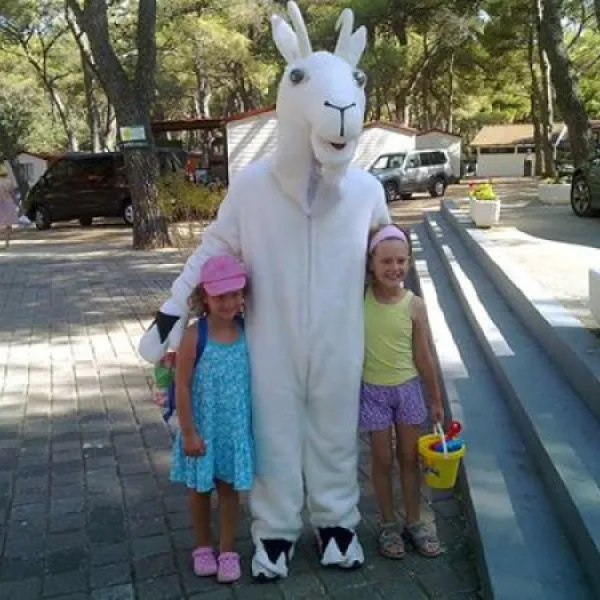 camping-kozarica-pakostane-tb2zg