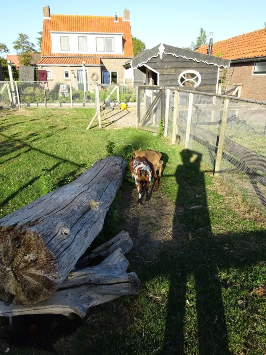 boerderijcamping-de-kluithoek-meliskerke-extsh