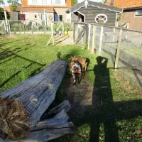 boerderijcamping-de-kluithoek-meliskerke-extsh