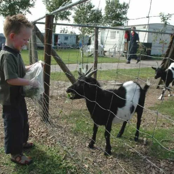 boerderijcamping-de-kluithoek-meliskerke-urmus