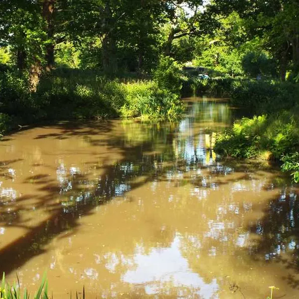 hill-cottage-farm-camping-and-caravan-park-fordingbridge-lglcf