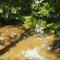 hill-cottage-farm-camping-and-caravan-park-fordingbridge-lglcf