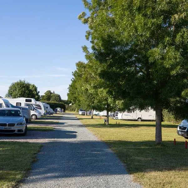 hill-cottage-farm-camping-and-caravan-park-fordingbridge-m1mdn