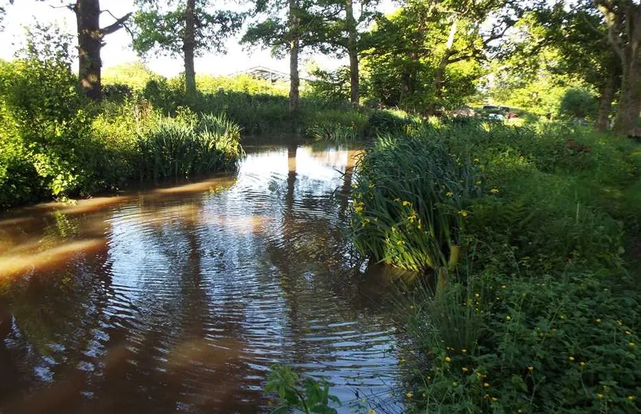 hill-cottage-farm-camping-and-caravan-park-fordingbridge-sdjt6
