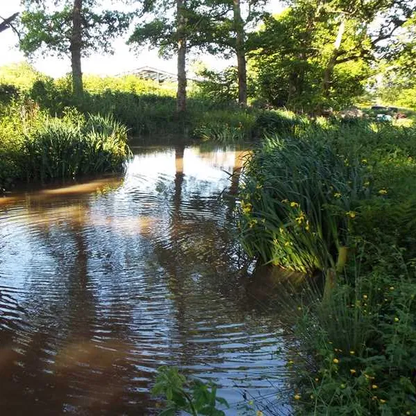hill-cottage-farm-camping-and-caravan-park-fordingbridge-sdjt6